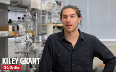 Why Startups Succeed: Fundraising