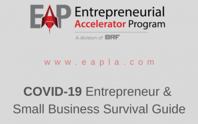 COVID-19 SURVIVAL GUIDE FOR SMALL BUSINESSES & ENTREPRENEURS